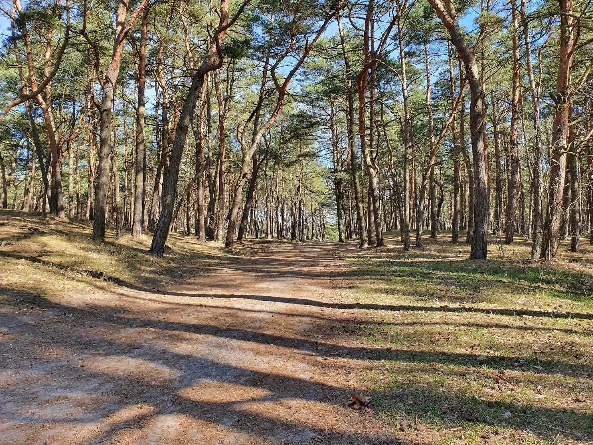 Apartamenty Wislany Przekop Gdansk